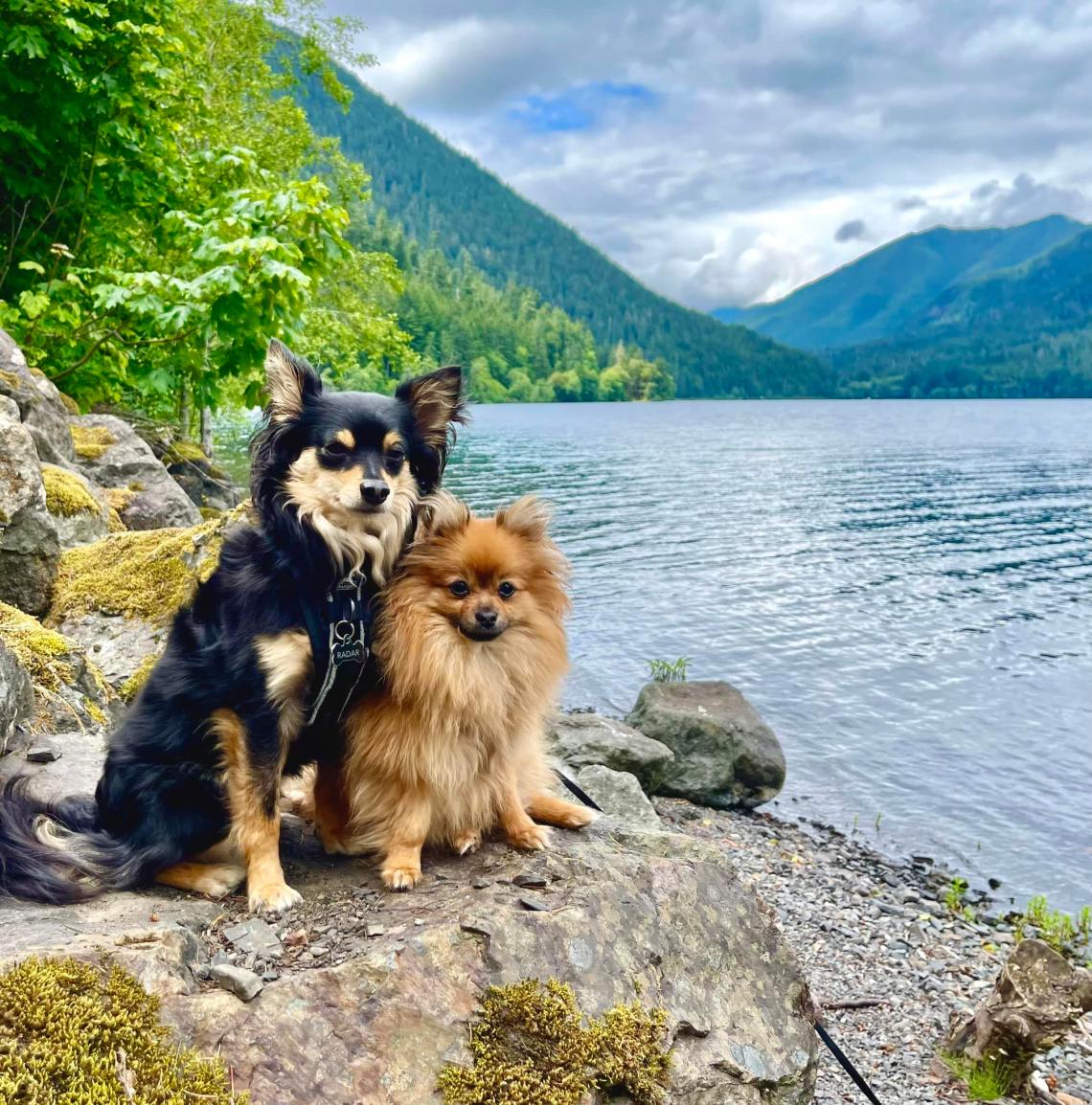 RadarRamsayWashington